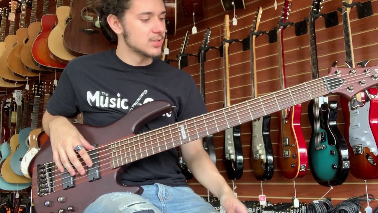 ESP LTD D-6 6 String Bass Playthrough