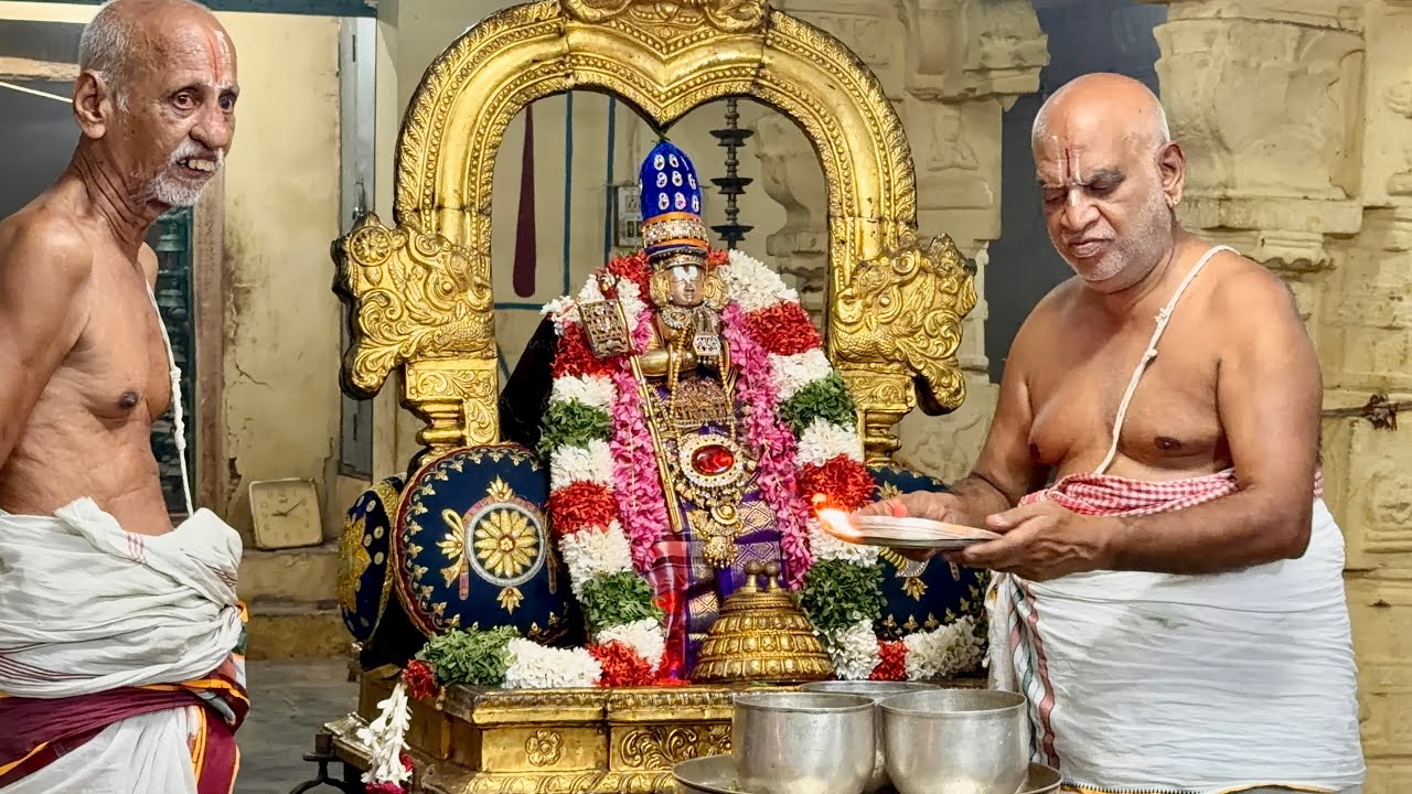 காஞ்சி ஸ்ரீ மணவாள மாமுனிகள் மாசி திருமூலம் - கோஷ்டி, சாற்றுமுறை 