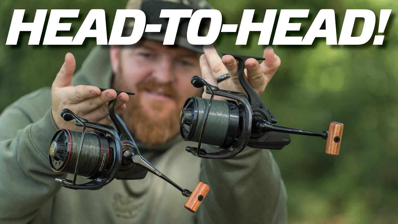 OUTRAGEOUSLY GOOD! But Which One? | Daiwa Basia Reels