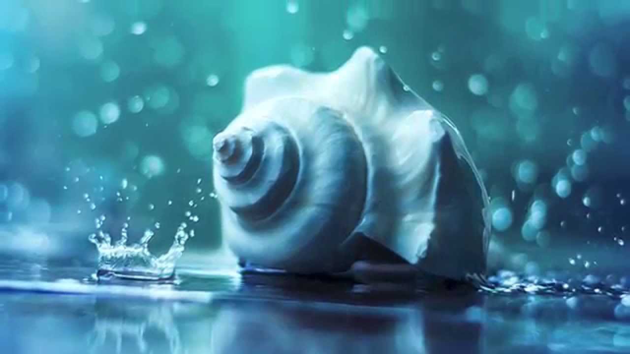 Make it rain - shooting still life with water