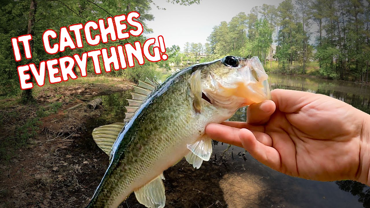 One of The Best Ultralight Fishing Lures | Mule Fishing Burro Bug