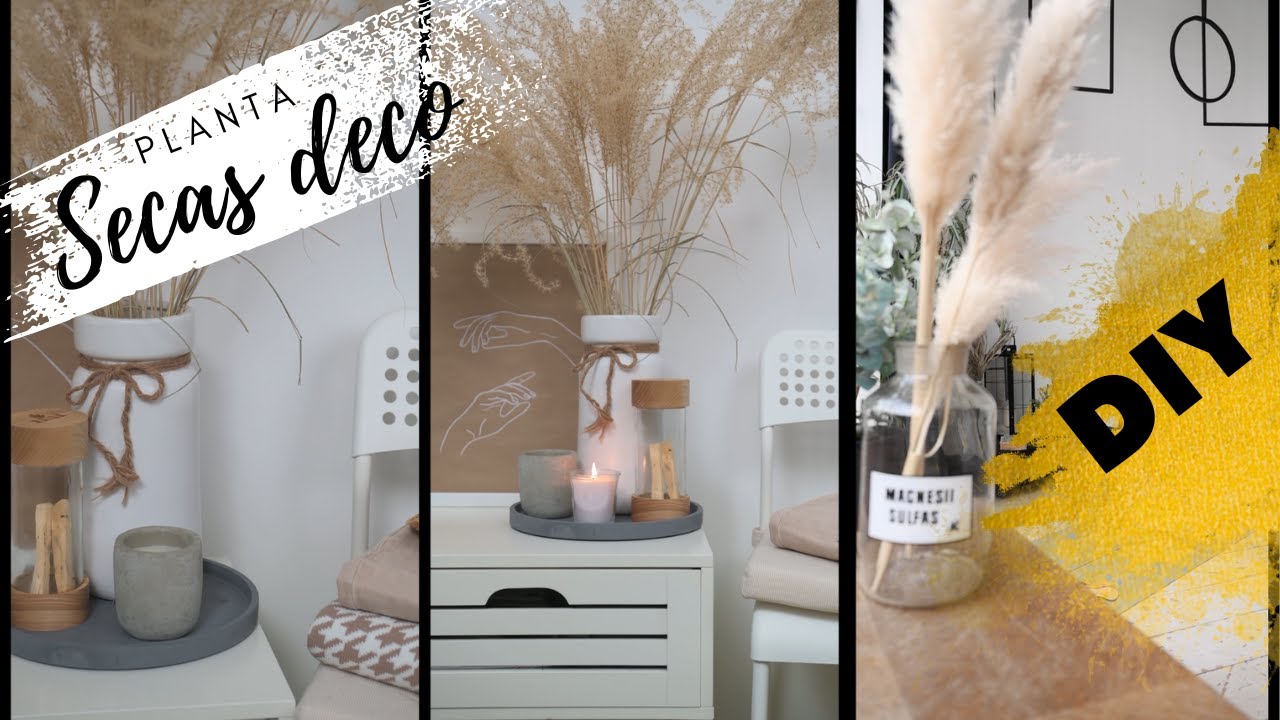 Decora la casa con plantas y flores secas- Como pintar flores secas silvestre