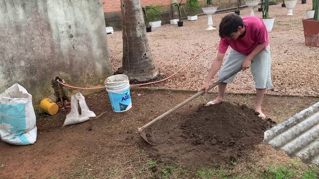 Como preparar a terra para a plantação de PITAYA no vaso - Adubação - PLANTANDO PITAYA NO VASO