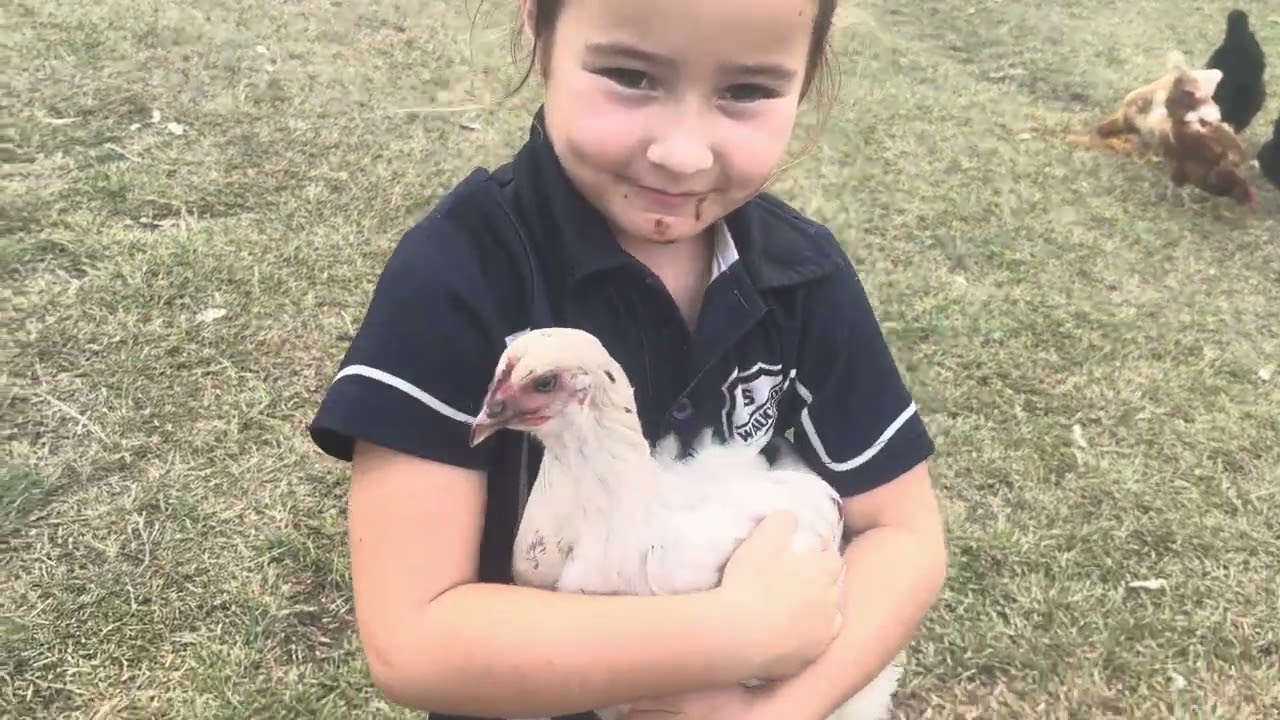 Farm Chores done right! Feeding the flock on our hobby farm