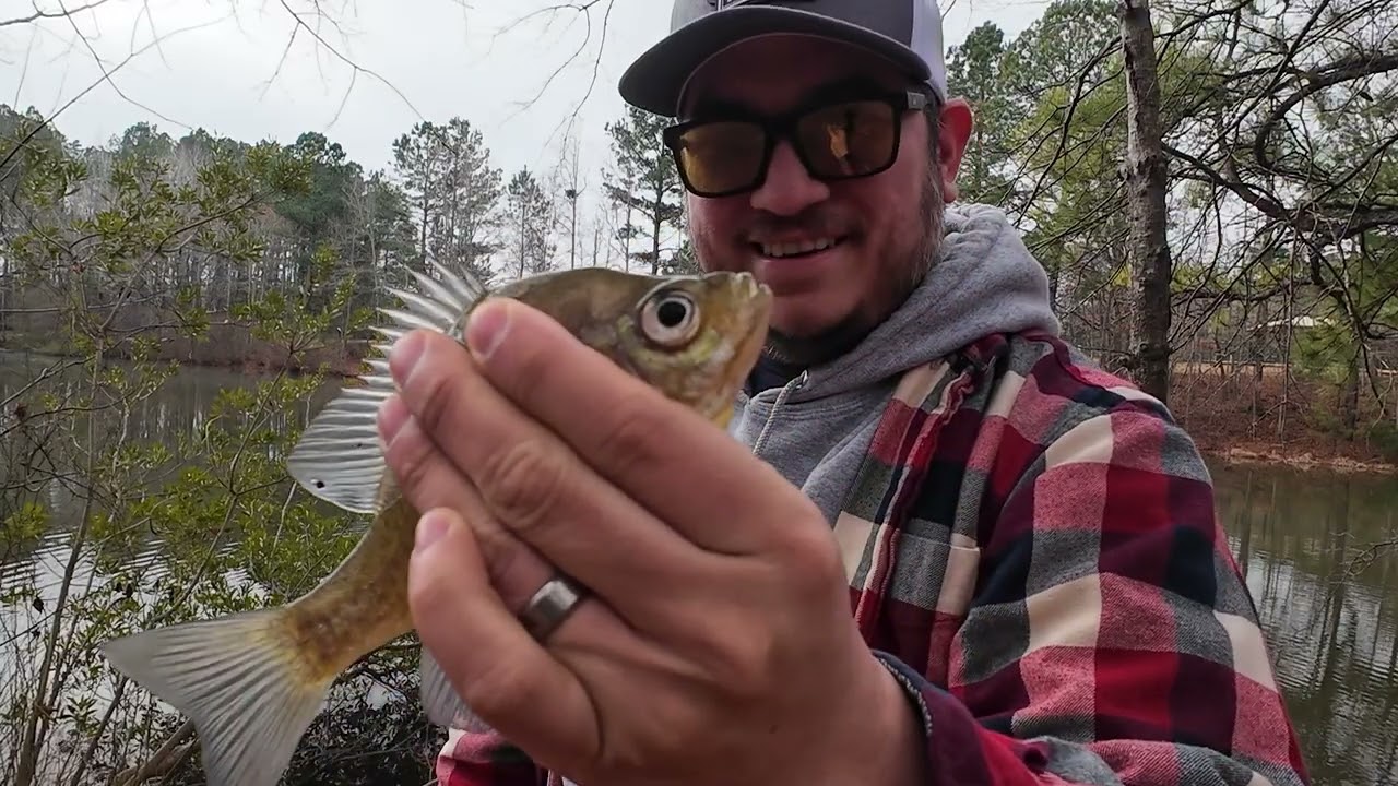 This Fishing Lure Always Gets Bites | Ultralight Fishing
