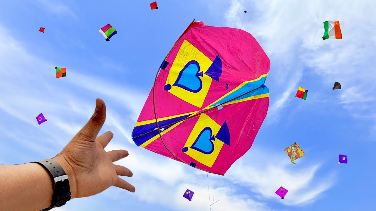 Kite Looting Ki Video | Caught Kites | Kite Catch | Kite