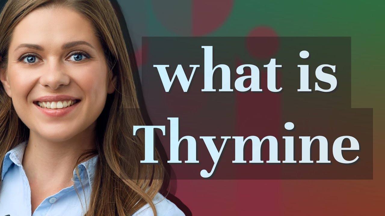 Thymine | meaning of Thymine