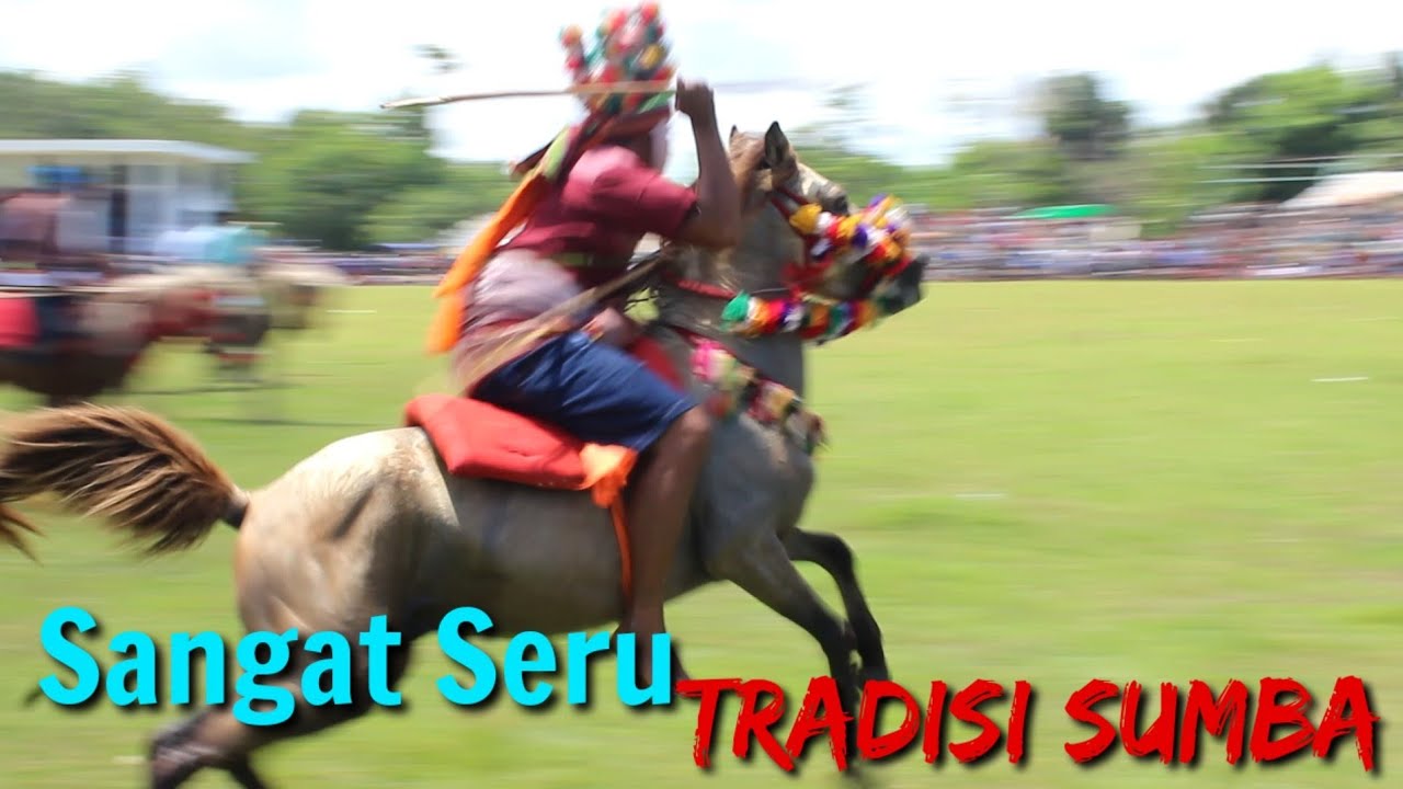 Pasola Wainyapu, kodi balahgar || Sumba NTT