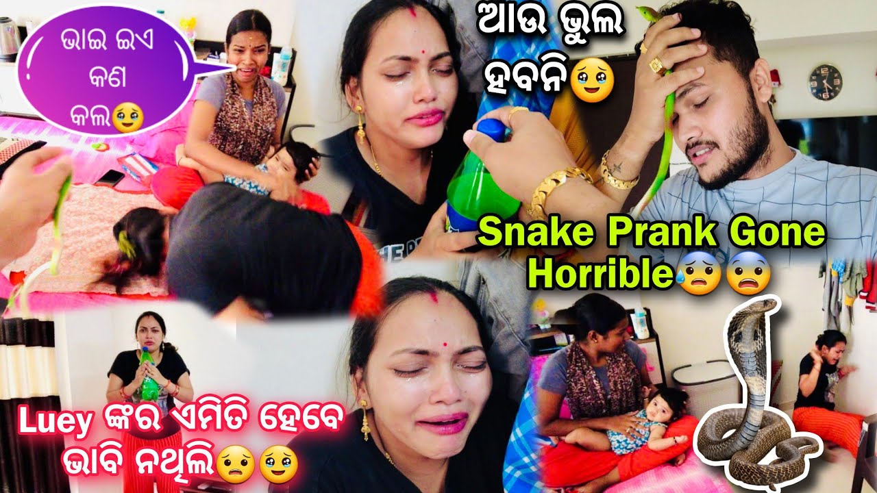 Luey ଙ୍କ ସହ Prank କଲେ ଏମିତି ହବ ଭାବି ନଥିଲି☹️🥹Snake Prank Gone Imotional with Wife😭ଆଉ କେବେ କରିବିନି😔