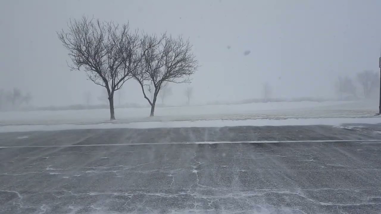 Blizzard Winter Freezing Blowing Snowing Lake Effect Wind Snow Royalty Free Stock Video Cold Furious