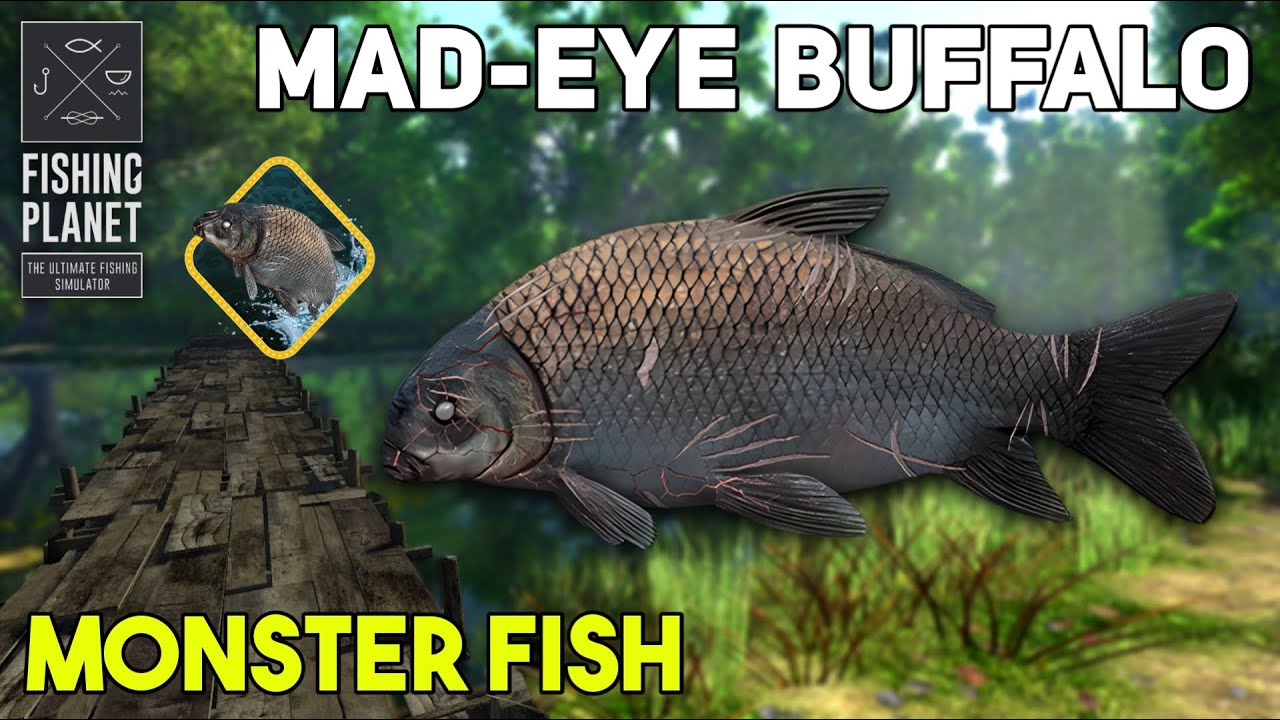 MONSTER FISH MAD-EYE BUFFALO LONE STAR LAKE - FISHING PLANET