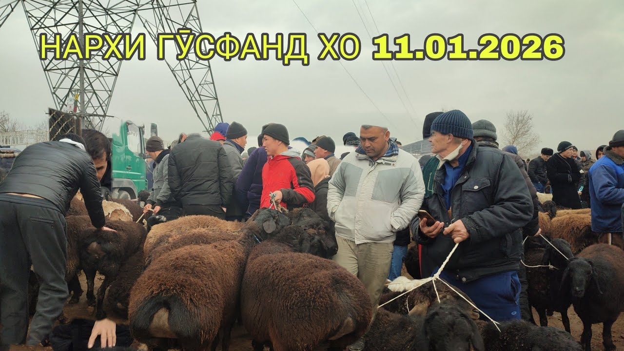 АНА ИРА ГӮСФАНД БОЗОР МЕГАН БОЗОРИ ЭШБЕК САТТОРОВ 