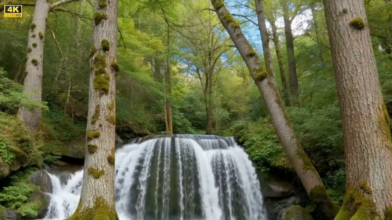 Waterfall Bliss 💦🏞️ | Stress Relief Nature Sounds 🌿
