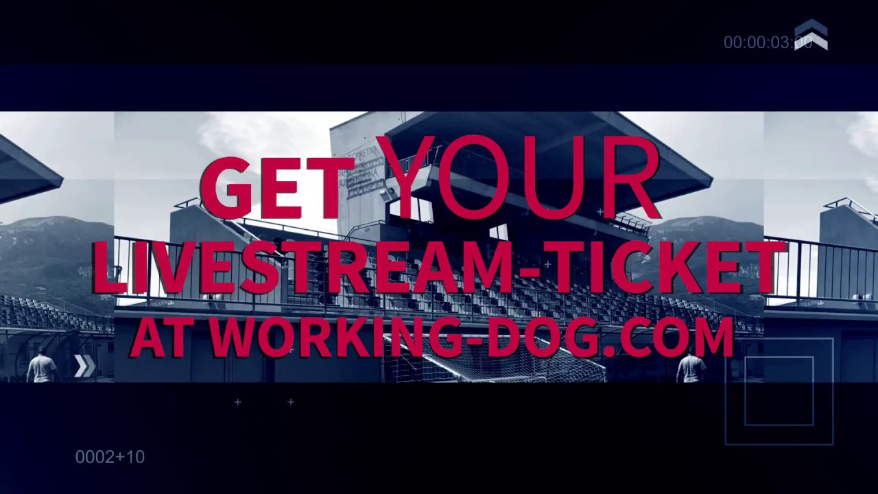 FMBB World Championship 2018 // Slovenia