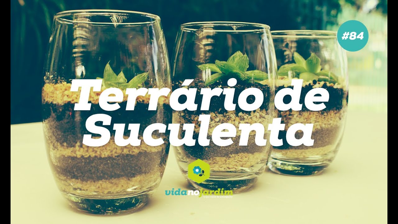Como fazer terrário de suculenta