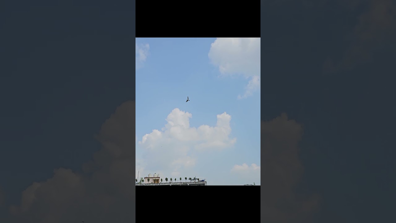 Indian Air Force Aircraft Antonov An-32RE Video |#shorts #viral