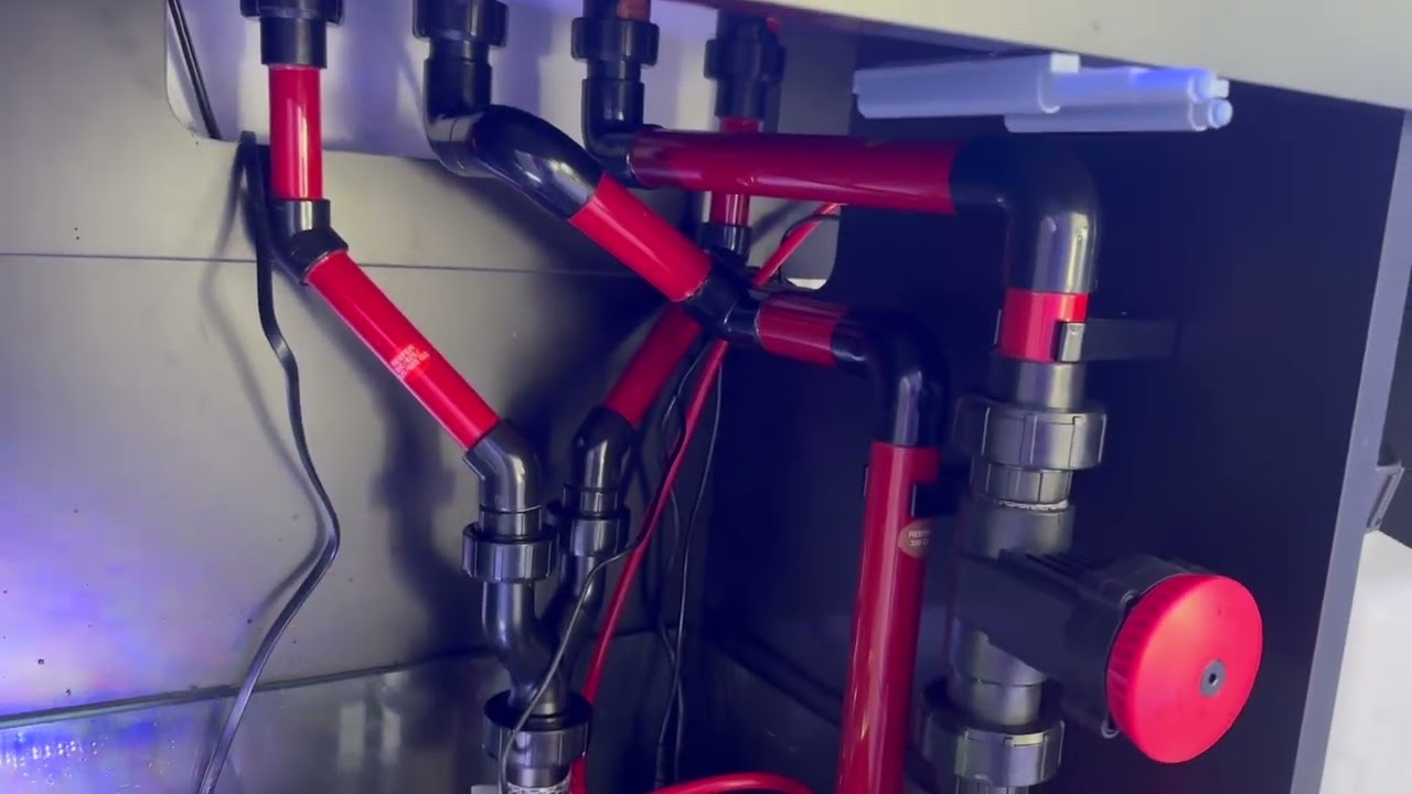 Red Sea Reefer 350 G3 Review.  #redseareefer350  #redseareeferg3 #fishaquarium
