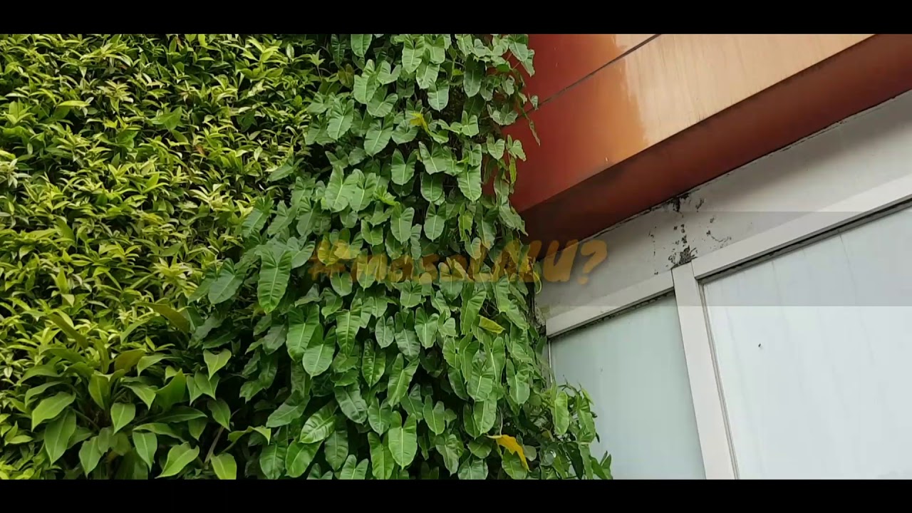 video baper ( masa lalu mantan )