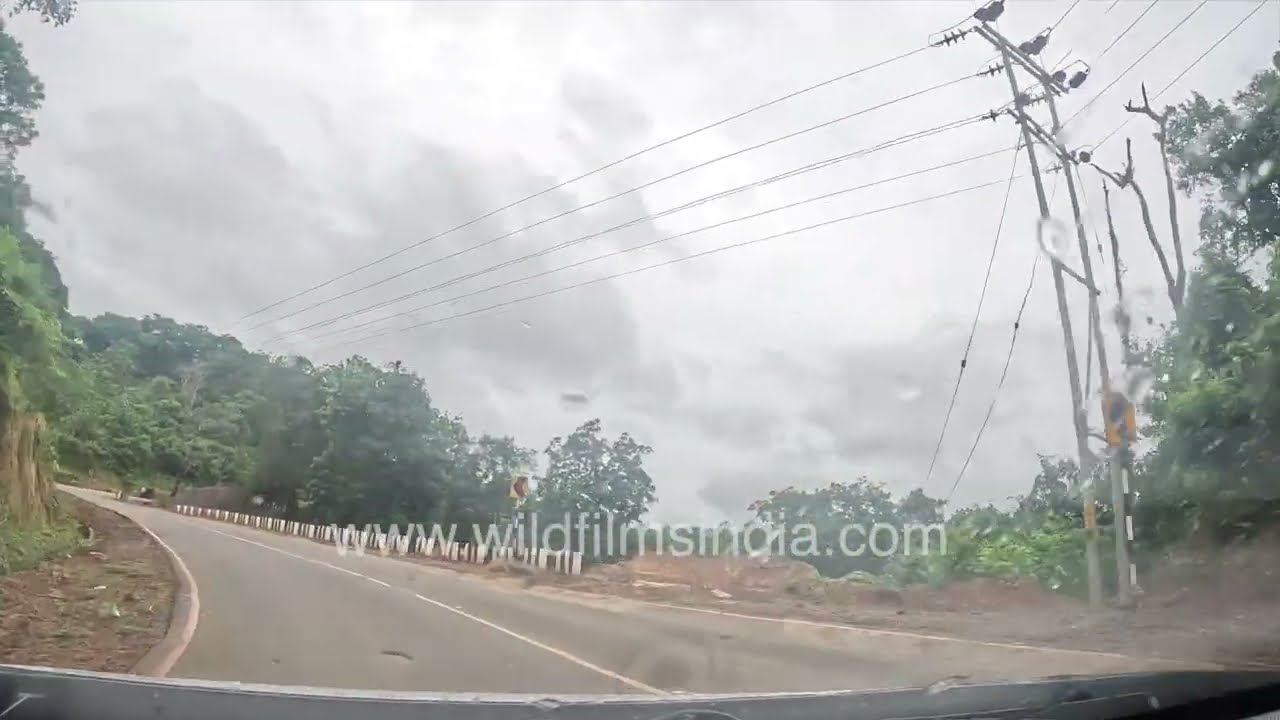 Rainy Drive in Meghalaya | Windshield Raindrops & Misty Roads