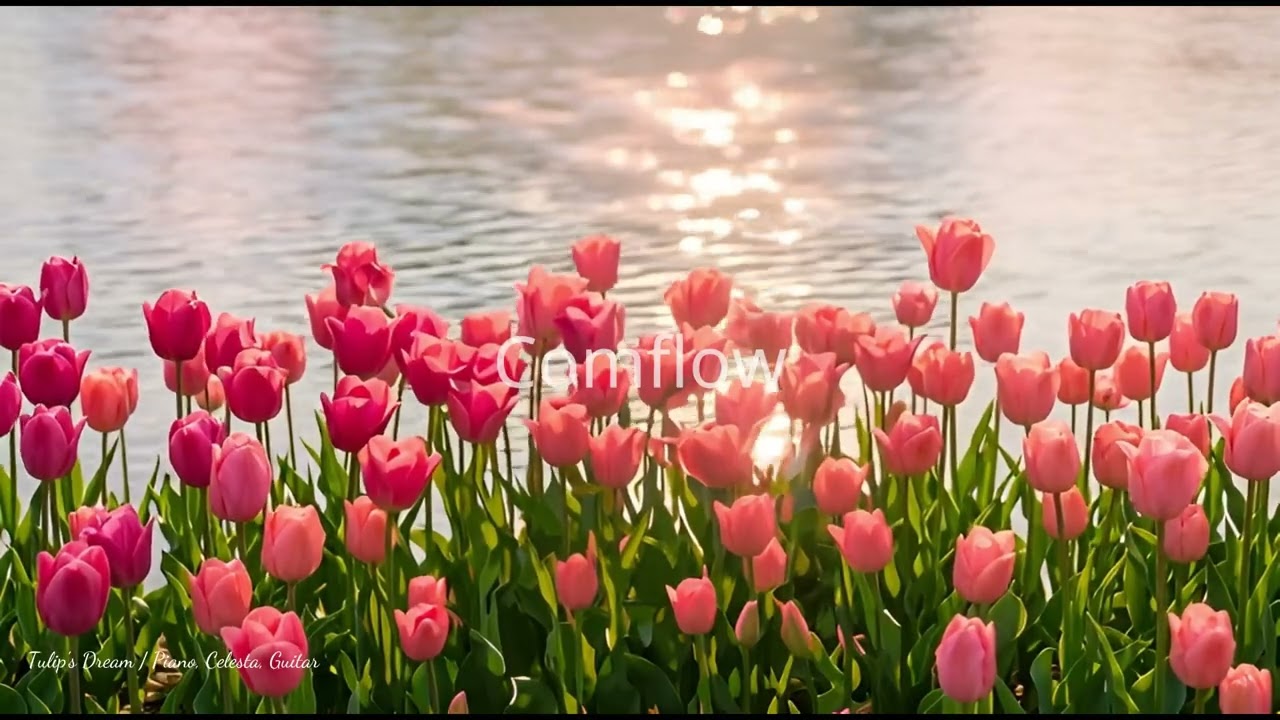 [playlist] Whispers of Tulip Lake | Peaceful New Age Piano for Relaxing & Focus