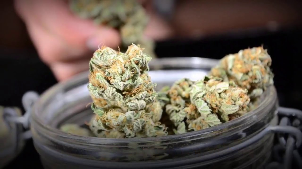 High CBD Cannabis Strains
