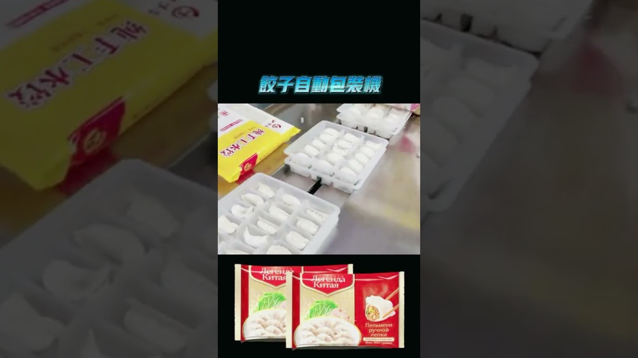 Multi Function Food Pillow Packaging Machine Automatic Frozen Dumplings Packing Machine | SAYOK