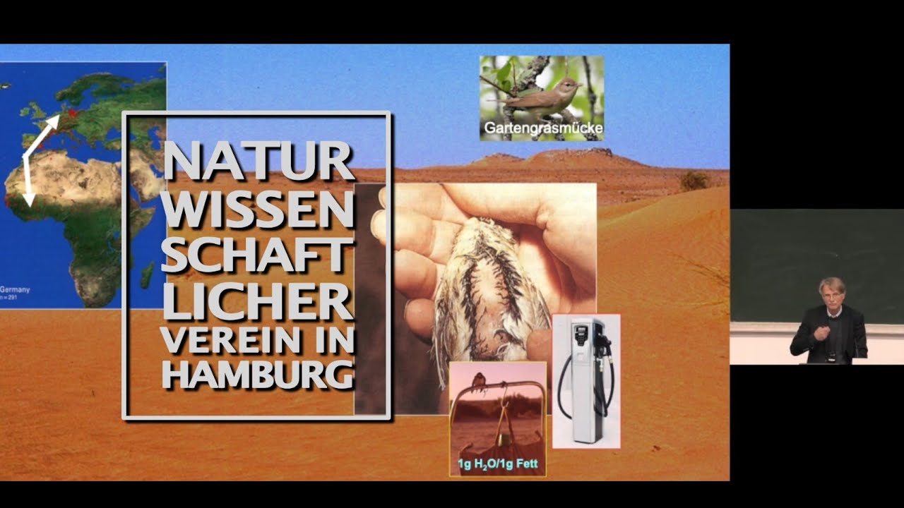 Vogelzug(forschung) im Wandel