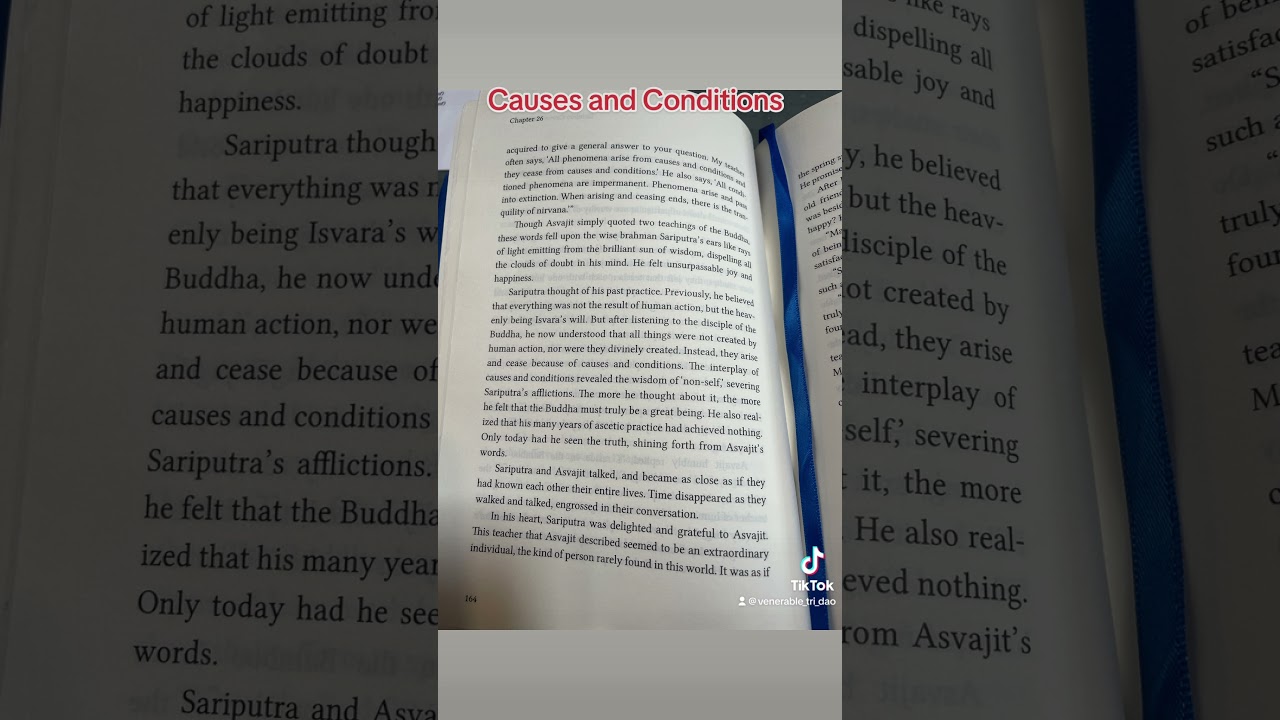 causes and conditions in buddhism #buddhist #mindfulness #spirituality #buddhism #theravada #buddha