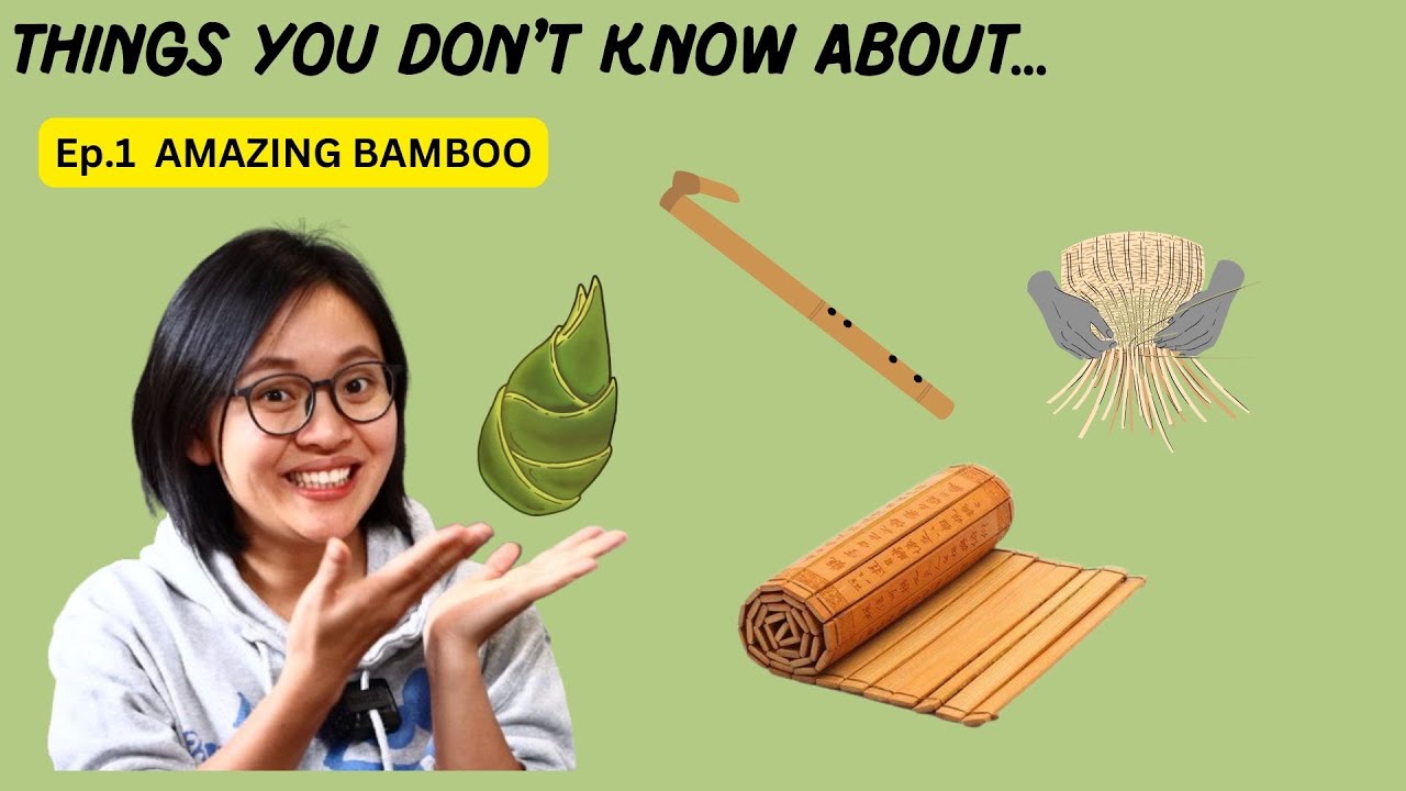 bamboo is so useful | comprehensible input Chinese | low intermediate