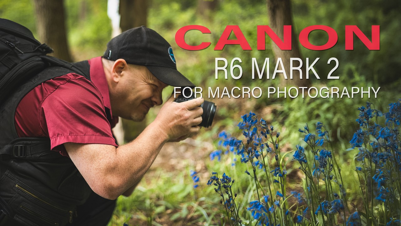 Beginner Macro Photography with the Canon R6 Mark 2