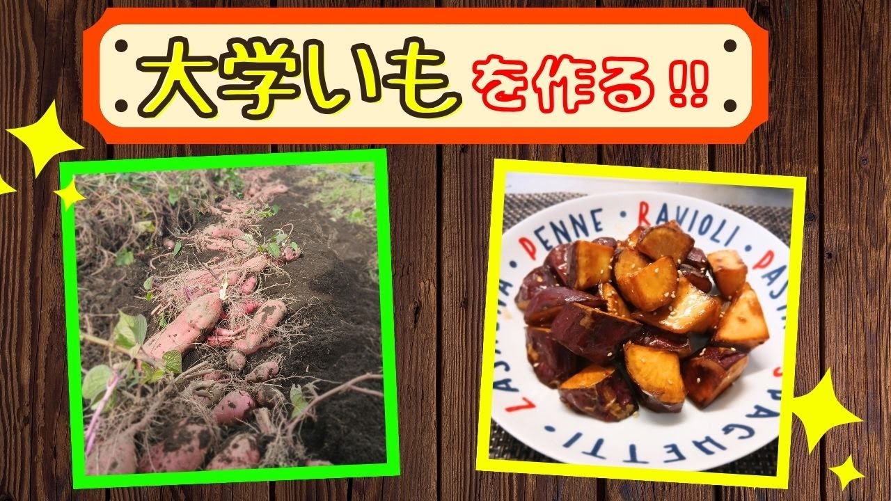 【田舎暮らし】収穫したサツマイモで大学いも作ってみた