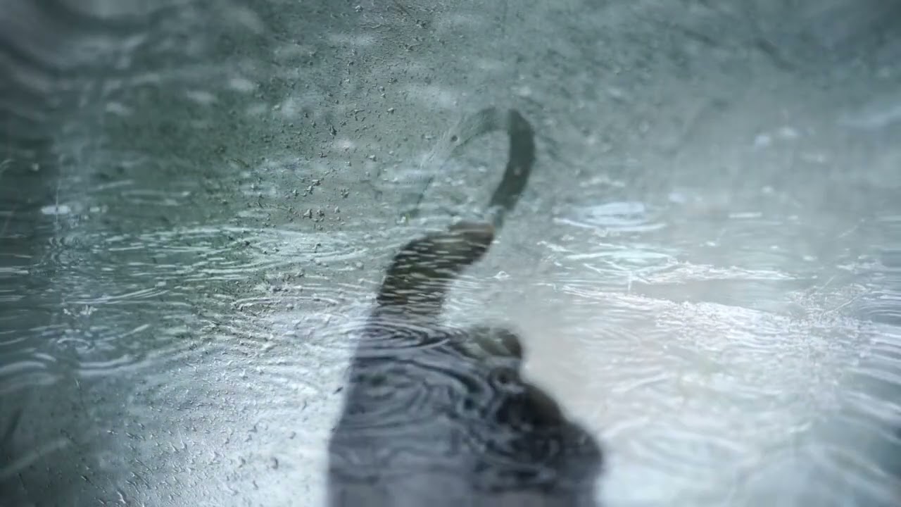 Chill Rainy House DJ Set 🌧️ | Deep & Cozy Vibes