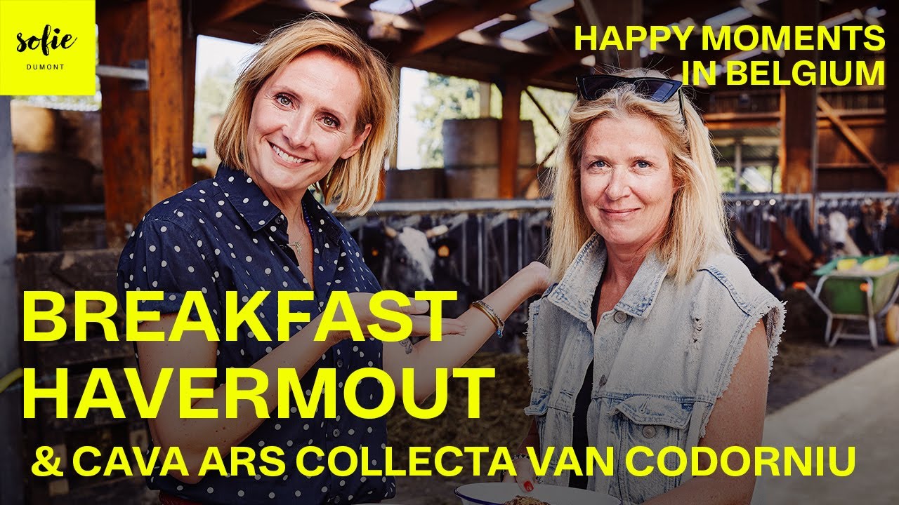 Gezonde havermout tiramisu | Barbara Sarafian | Sofie Dumont