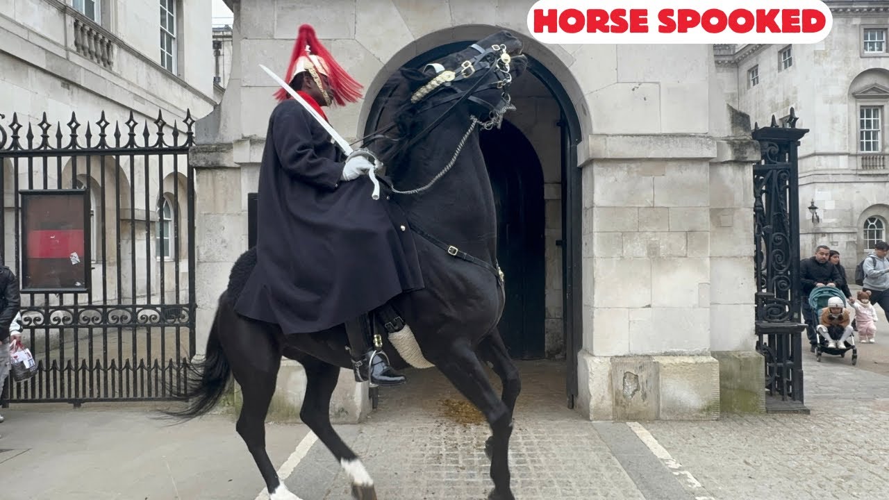 Unexpected Moment: Guard Horse Suddenly Spooks During Duty