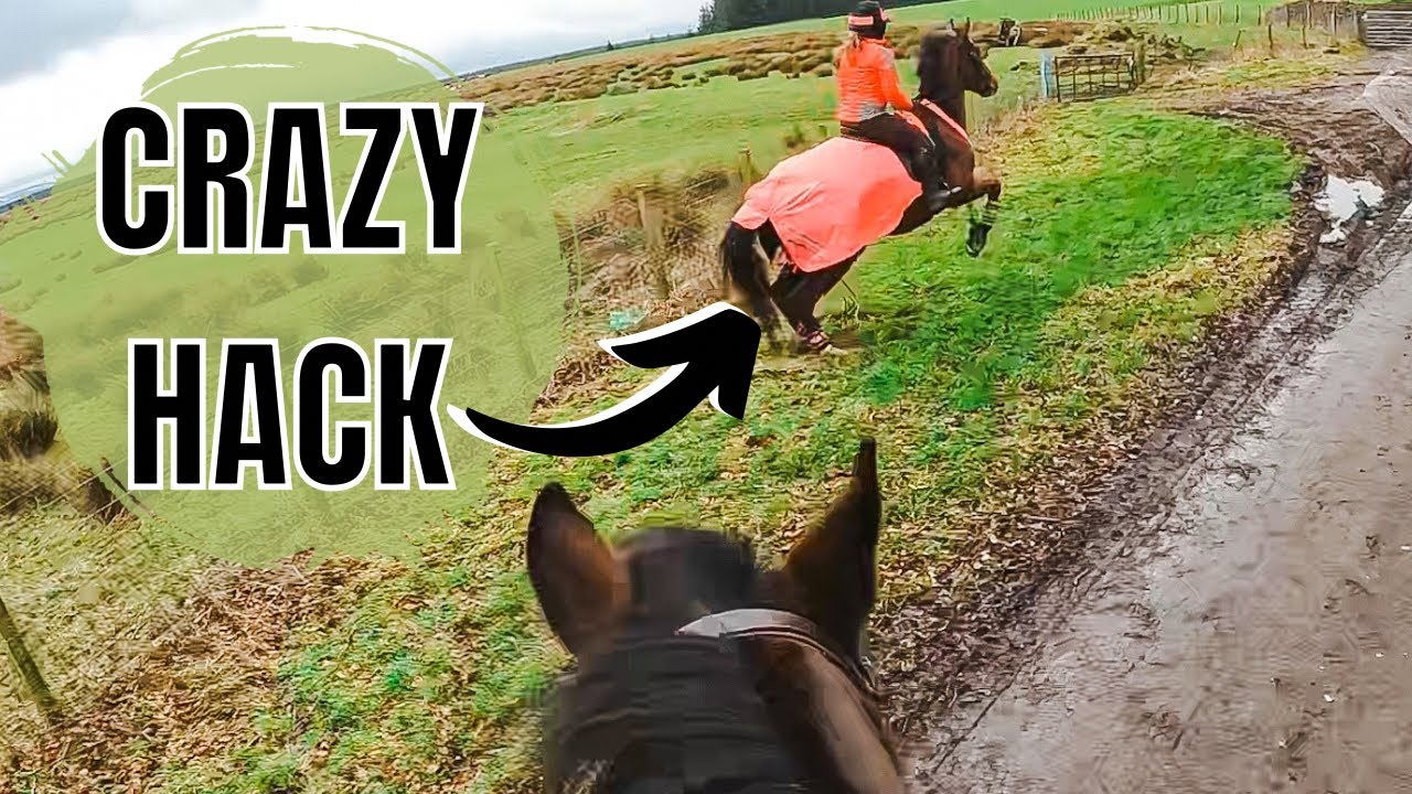 COME HACKING WITH US (GoPro)| Crazy Horses!