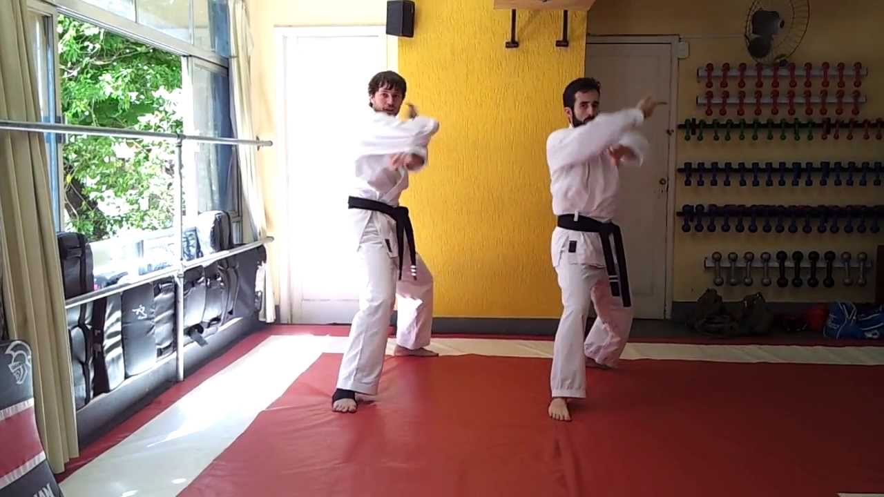 Base Fudodachi - shuto uke, haito uchi e shuto uchi