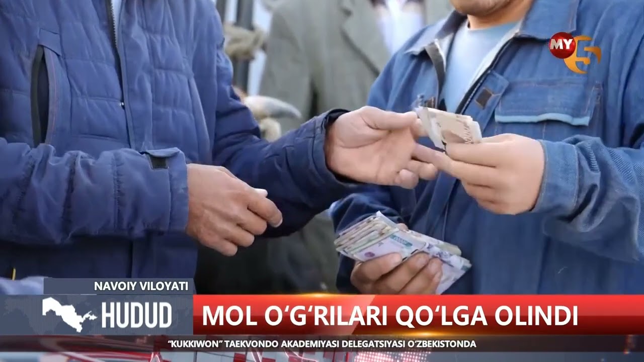 Mol oʻgʻrilari qoʻlga olindi (Navoiy)