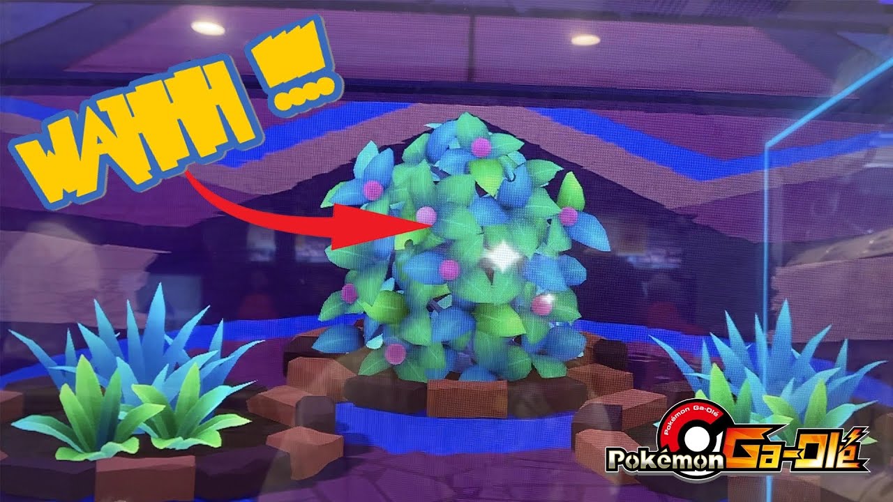 *SKEM BUSH??* Pokemon Ga-Ole: Rush Part 1 Gameplay