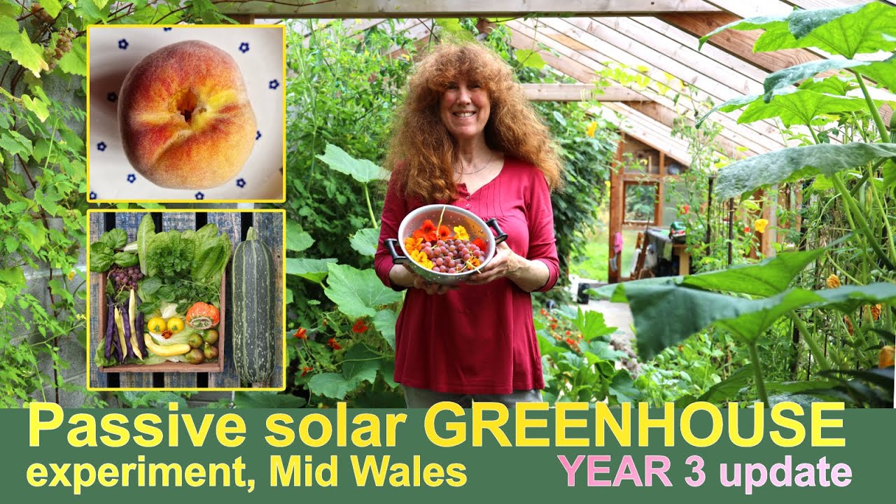 Passive solar GREENHOUSE update | YEAR 3