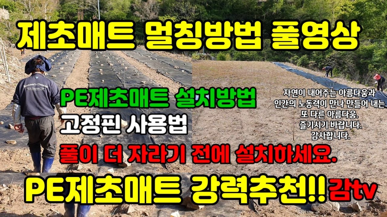 감tv 제초매트/제초매트 설치방법/제초매트 멀칭/제초매트 고정핀 사용법/제초매트 장단점/PE제초매트/제초매트 장단점/제초매트 추천/풀과의전쟁/감티비/감농사/귀농귀촌준비