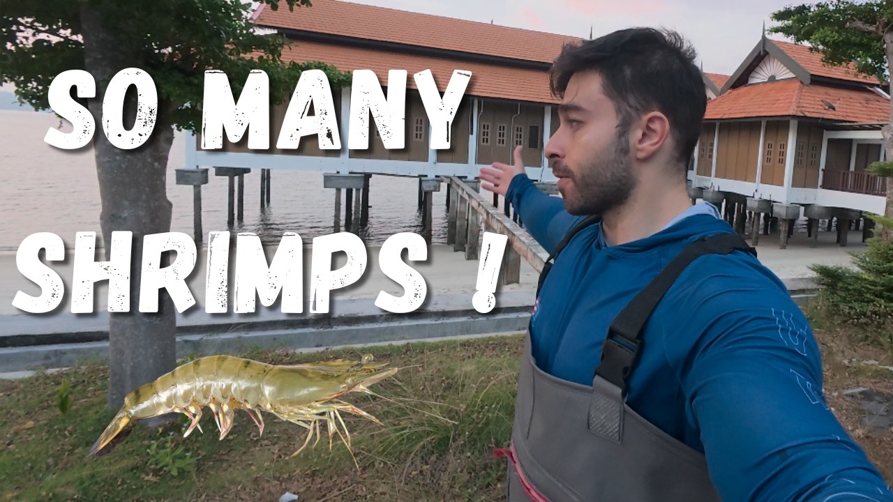 You Won’t Believe How Many Shrimps I Caught! 🦐🔥