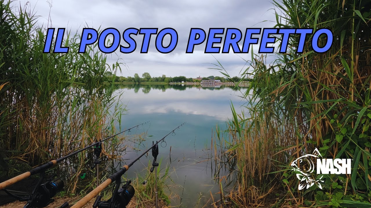 IL POSTO PERFETTO - carpfishing in cava libera