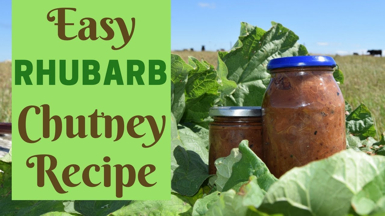 Simple Rhubarb Chutney Recipe