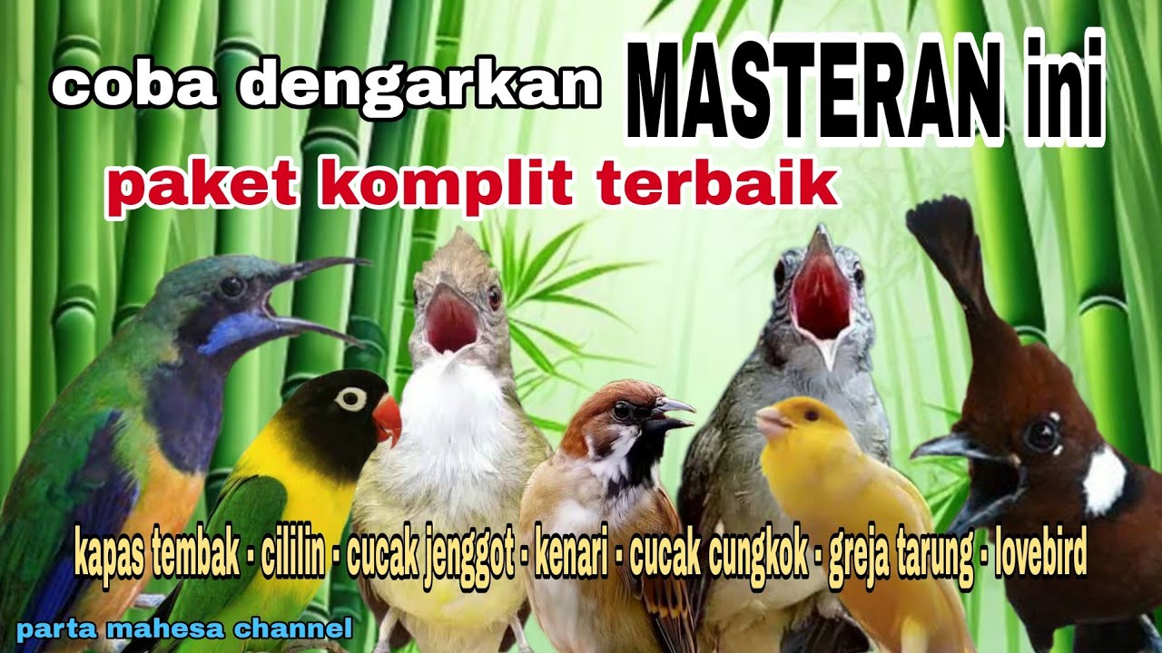 Kompilasi Masteran Materi Lomba Full Isian Tembakan Kasar