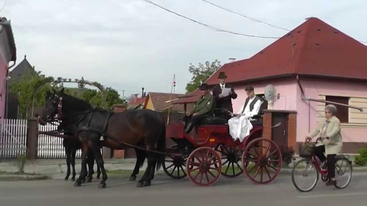Állatkihajtó 2014 kidobolás