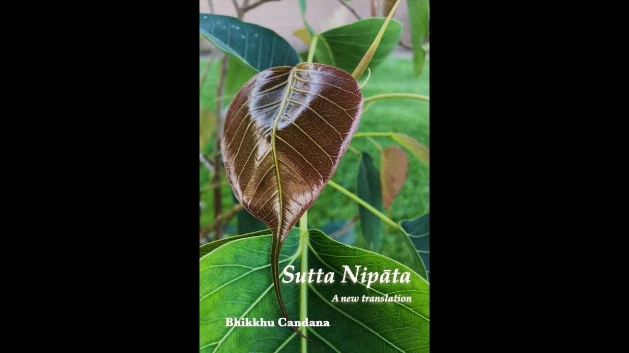 Sutta Nipāta: A new translation, by Bhikkhu Candana (Book Two)