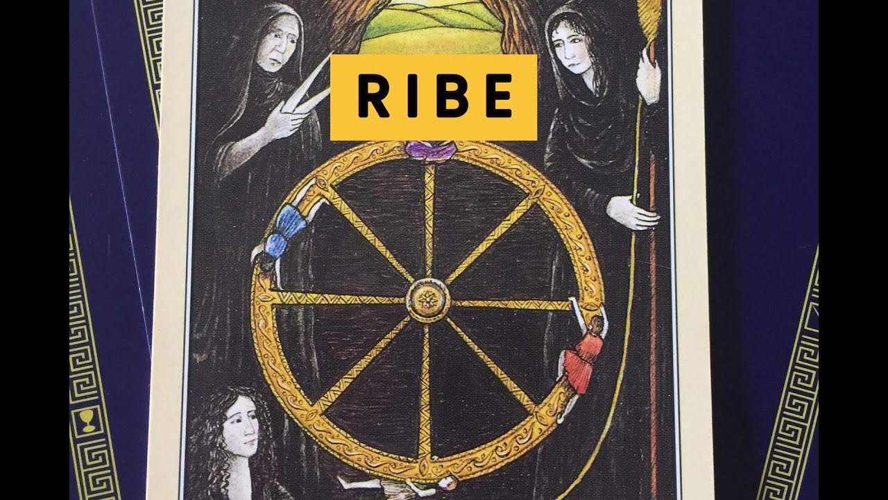 RIBE | DUGO STE O OVOME SANJALI | 5. DO 11. JANUAR 2026 | TAROT OTVARANJE
