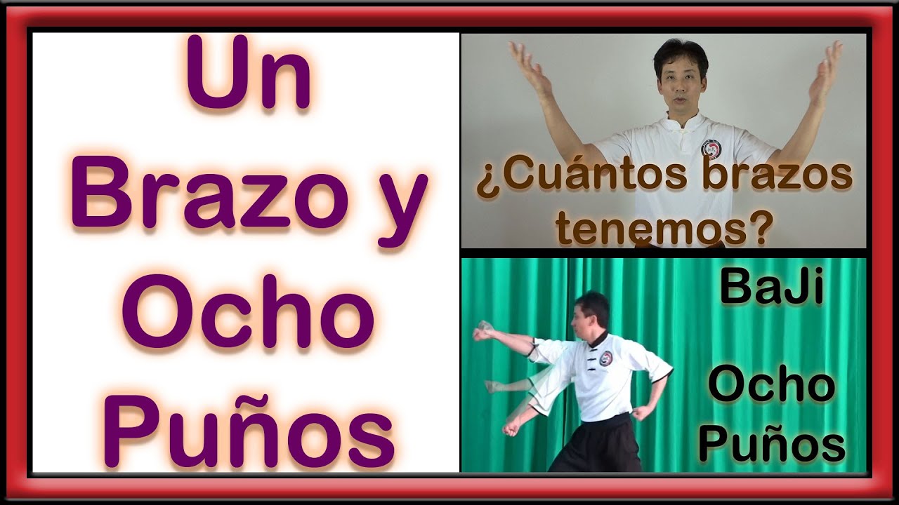 Más allá de los ocho puños de BaJi Quan - ADN del KungFu
