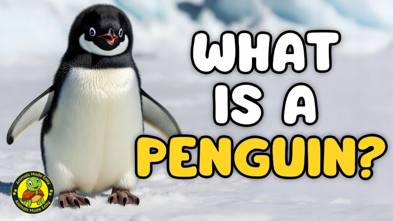What Is a Penguin? | Learn About Penguins for Kids | Animals Made Easy