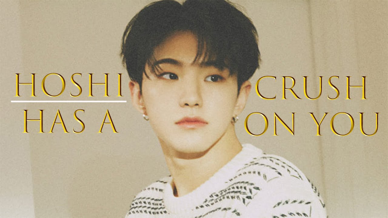💙 Imagine Hoshi Has A Crush On You 💙 (VOSTFR)